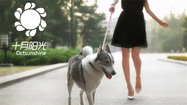 北京育儿嫂“宠物友好”:养宠家庭加价规则(图1) 北京育儿嫂“宠物友好”:养宠家庭加价规则(图1)